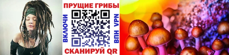 МЕГА ТОР  Кочубеевское  Галлюциногенные грибы GOLDEN TEACHER 
